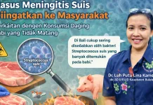 Waspada Meningitis Suis dari Konsumsi Daging Babi Tak Matang