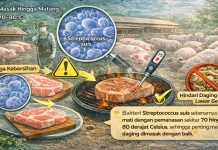 Dokter Ingatkan Cara Aman Konsumsi Daging Babi untuk Cegah Meningitis Suis