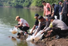 Meriahkan HUT Singaraja, Pemkab Buleleng Tebar 30 Ribu Benih Ikan