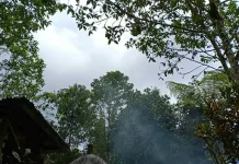 Gema Hening di Tanah Rantau