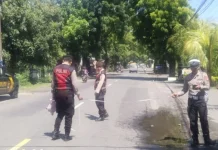 Tabrakan Dua Motor di Pemuteran, Lansia Meninggal Dunia