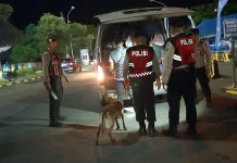 Pengamanan Gilimanuk Diperketat, Terjunkan K-9