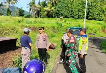 Kapolsek Busungbiu Kawal Pengaspalan Jalan Desa Kedis