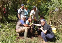 Kolaborasi Internasional Tanam 1000 Pohon di Tamblingan Bali