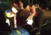 Tabrakan Maut Singaraja–Gilimanuk, Dua Remaja Meninggal Dunia