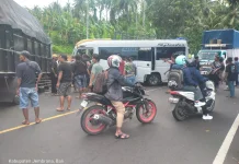 Kecelakaan Microbus dan Truk di Pekutatan, Dua Terluka