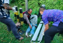 Kecelakaan di Gilimanuk, Pengendara Tewas di Tempat