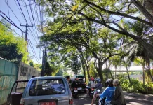 Satpol PP Banjar Data Pohon Rawan Tumbang di Jalur Nasional