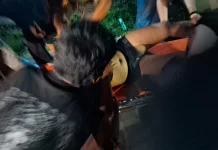 Terduga Pelaku Tak Senonoh Terjatuh ke Irigasi