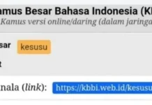 “Kesusu” Kini Resmi Masuk KBBI, Bahasa Gaul Jadi Baku