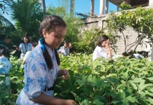 Spensaraja Panen Sayur, Wujudkan Swasembada Pangan Berbasis Sekolah