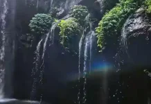 Pesona Alam Tersembunyi Toya Bulan Waterfall Bali
