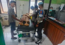 Tabrak Lari di Gumbrih, Pengendara Motor Terluka