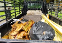 Buang Sampah di TNBB, Sopir Pikap Kena Sanksi Sosial