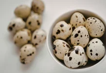 Telur Puyuh, Kecil Ukurannya Kaya Manfaat