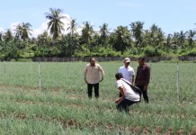Gerokgak Diproyeksi Jadi Kawasan Strategis Ketahanan Pangan RI
