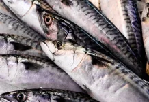 Trik Jitu Memilih Ikan Segar Kaya Omega-3 Di Pasar Tradisional