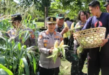 Polres Jembrana Salurkan Hasil Panen Jagung untuk Program MBG