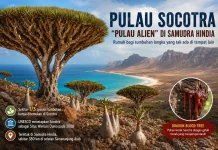 UNESCO Tetapkan Socotra sebagai Warisan Dunia karena Keanekaragaman Hayati