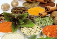 Tanaman Herbal yang Dipercaya Membantu Mengontrol Diabetes
