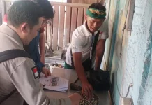 Jalani Verifikasi Lapang, Batu Pulaki Selangkah Lagi Kantongi Sertifikat IG