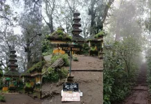 Gunung Catur, Pendakian Ramah Pemula dengan Nuansa Alam dan Spiritual di Bali