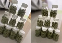 Mengupas Khasiat Kapsul Moringa Oleifera: Ekstrak Daun Kelor untuk Kesehatan