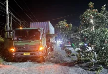 Pohon Tumbang Timpa Truk Kontainer di Jalur Denpasar-Gilimanuk