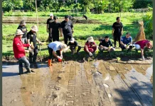 Buleleng Perkuat Ketahanan Pangan Melalui Demplot Pertanian