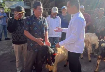 Bupati Salurkan Hewan Kurban ke 69 Masjid untuk Iduladha