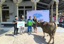 Sambut Iduladha 1447 H, Pelindo Celukanbawang Salurkan Hewan Kurban