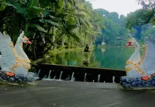 Daya Tarik Tirta Taman Mumbul Sangeh, Perpaduan Wisata Alam dan Spiritual di Bali