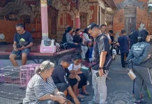 Cegah Rabies, Pemkab Jembrana Perkuat Sterilisasi dan Vaksinasi HPR di Batuagung