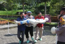 Semarak Hari Bhayangkara ke-80, Polres Jembrana Adakan Lomba TPTKP