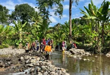 BPBD Jembrana Pulihkan Irigasi Terdampak Material Banjir