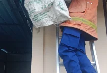 Damkar Jembrana Evakuasi Sarang Tawon di Bale Banjar Palasari