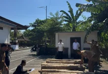 Polres Jembrana Amankan Puluhan Gelondong Kayu Jati Dugaan Illegal Logging