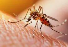 Peringatan 15 Juni: Hari Demam Berdarah Dengue ASEAN