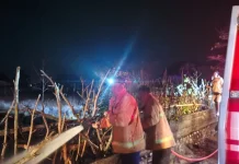 Kebakaran Lahan Puluhan Are di Delodberawah