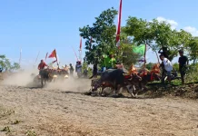 Makepung Kapolda Bali Cup 2026 Semarakkan Hari Bhayangkara ke-80
