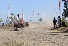 Ribuan Warga Nikmati Libur Kuningan Nonton Makepung Kapolda Cup