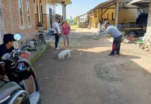Cegah Penyebaran Rabies, Vaksinasi HPR di Banjar Tangi Diperluas