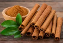 Pesona Kayu Manis, Rempah Aromatik Andalan Indonesia