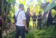Lima Ekor Babi Warga Gerokgak Raib, Polisi Dalami Kasus Pencurian