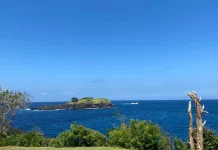 Keindahan Wisata Bali Timur, Bukit Asah Karangasem Permadani Hijau dan Biru