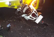 Diduga Gagal Menyalip, Pemotor Tewas Tabrak Bus di Mendoyo