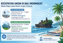 Kecepatan Angin di Bali Meningkat, BMKG: Masih Wajar pada Musim Angin Timuran