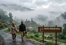 Kenapa Suhu di Bali Menjadi Lebih Dingin Akhir-akhir ini?