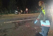 Diduga Rem Blong, Truk Tronton Sebabkan Tabrakan Beruntun di Pekutatan