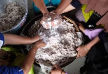 Mengenal Proses Pembuatan Minyak Kelapa Asli yang Alami